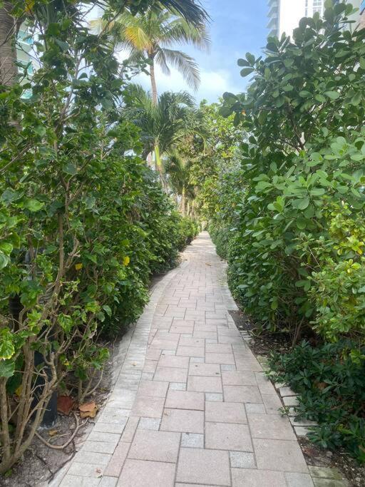 Beachwalk 1B-1B Apmt Amazing View 12A Hallandale Beach Buitenkant foto